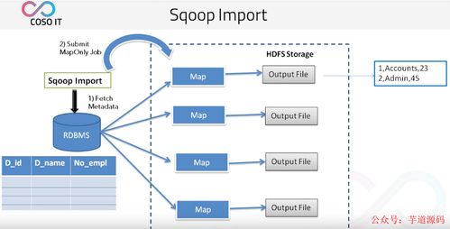 八款主流數據遷移工具技術選型解析，助力數據處理技術開發