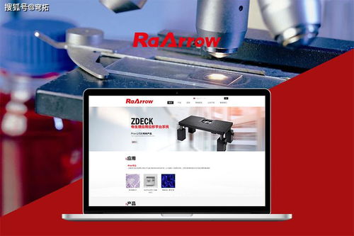 如何選擇本地網站建設公司并管理網站建設與維護