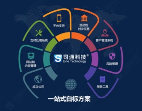 MT4平臺提供商、購買成本及網站建設維護全解析