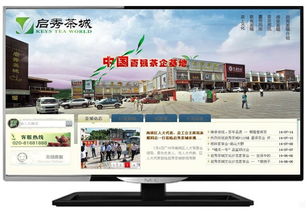 松江企業數字化轉型 一站式網站建設、維護與托管解決方案